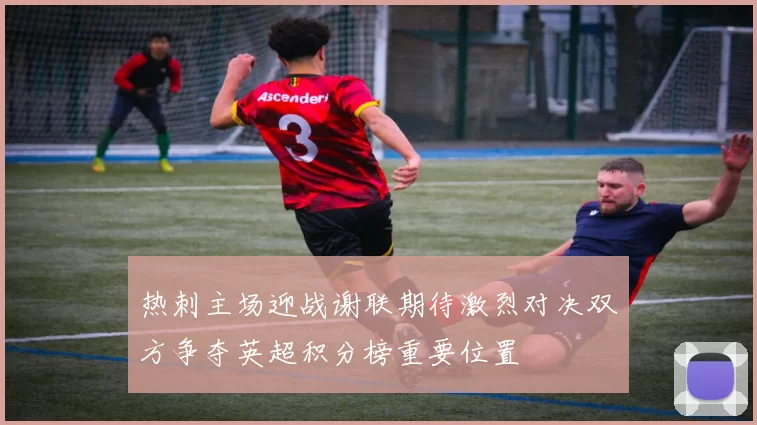 热刺主场迎战谢联期待激烈对决双方争夺英超积分榜重要位置