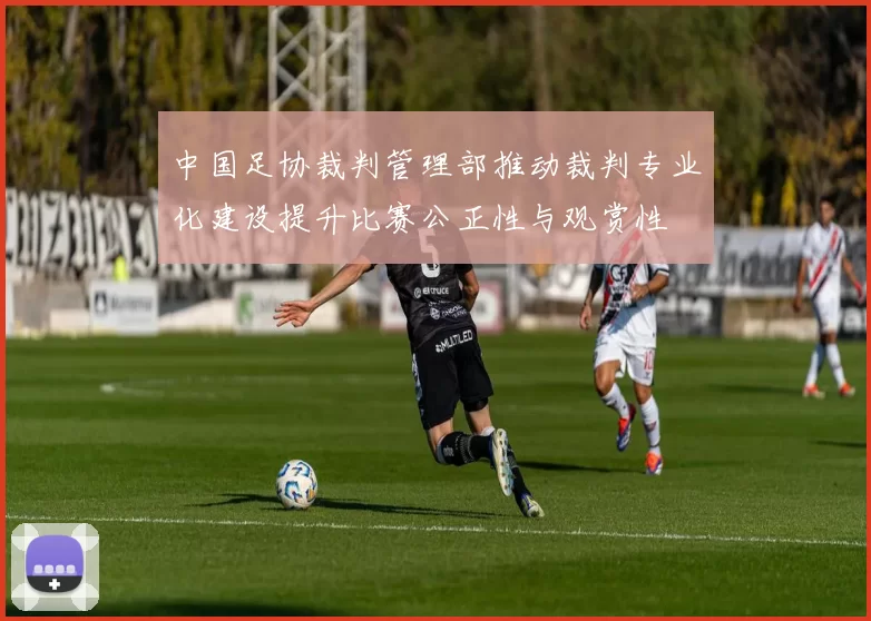 中国足协裁判管理部推动裁判专业化建设提升比赛公正性与观赏性