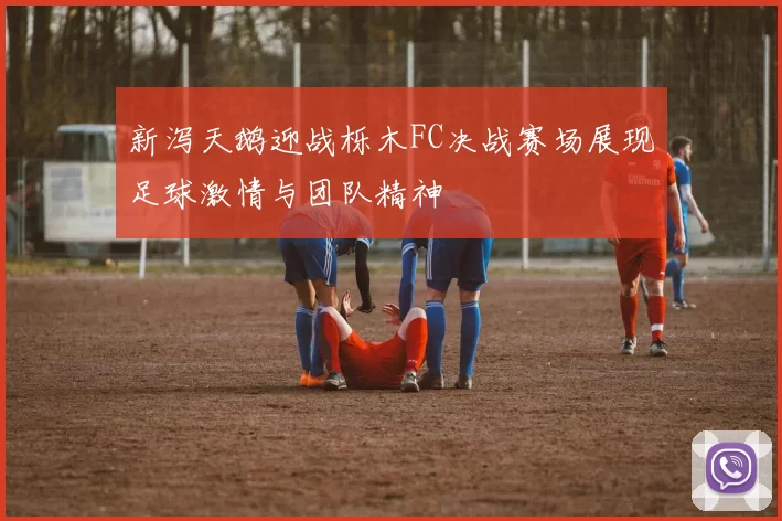 新泻天鹅迎战栎木FC决战赛场展现足球激情与团队精神